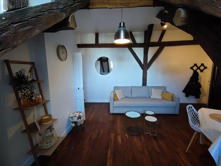 Magnifique Appartement Beaux Arts Tours Exteriör bild