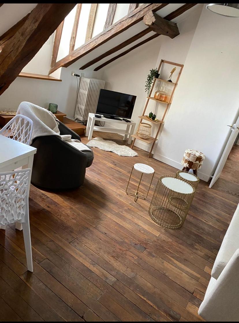 Magnifique Appartement Beaux Arts Tours Exteriör bild